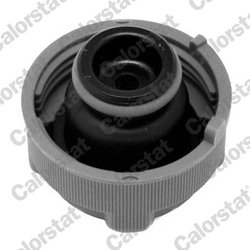 BUSON VAS EXPANSIUNE CALORSTAT BY VERNET RC0023 - Compatibil cu ABARTH, ALFA ROMEO, CHRYSLER, CITROEN, FIAT, FORD, LANCIA, OPEL,