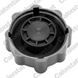 BUSON VAS EXPANSIUNE CALORSTAT BY VERNET RC0025 - Compatibil cu SKODA, VW