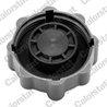 BUSON VAS EXPANSIUNE CALORSTAT BY VERNET RC0025 - Compatibil cu SKODA, VW
