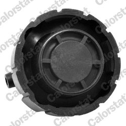 BUSON VAS EXPANSIUNE CALORSTAT BY VERNET RC0026 - Compatibil cu ALFA ROMEO, FIAT, IVECO, LANCIA, MASERATI, PEUGEOT