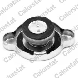 BUSON RADIATOR CALORSTAT BY VERNET RC0027 - Compatibil cu CITROEN, DAIHATSU, EUNOS, FORD, FORD USA, GENESIS, HONDA, HYUNDAI, INF