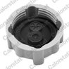 BUSON VAS EXPANSIUNE CALORSTAT BY VERNET RC0038 - Compatibil cu ALFA ROMEO, AUSTIN, AUTOBIANCHI, CITROEN, FIAT, HONDA, LANCIA, M