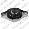 Buson radiator Calorstat by Vernet RC0047
