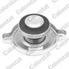 BUSON RADIATOR CALORSTAT BY VERNET RC0049 - Compatibil cu CITROEN, MERCEDES-BENZ, PEUGEOT, ROVER