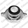 BUSON RADIATOR CALORSTAT BY VERNET RC0061 - Compatibil cu ALFA ROMEO, AUDI, AUSTIN, AUSTIN-HEALEY, BEDFORD, BMW, CHRYSLER, CITRO