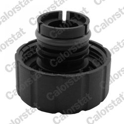 BUSON VAS EXPANSIUNE CALORSTAT BY VERNET RC0148 - Compatibil cu MERCEDES-BENZ