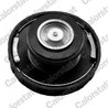BUSON VAS EXPANSIUNE CALORSTAT BY VERNET RC0151 - Compatibil cu CHRYSLER, DODGE, FIAT, JEEP, LANCIA