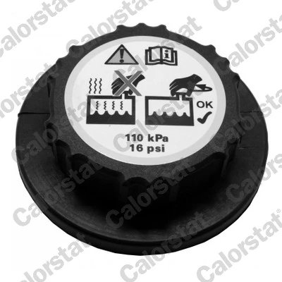 BUSON VAS EXPANSIUNE CALORSTAT BY VERNET RC0159 - Compatibil cu FORD USA, LAND ROVER, OPEL, VAUXHALL