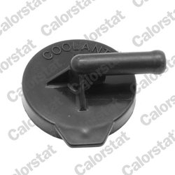 Buson vas expansiune Calorstat by Vernet RC0178