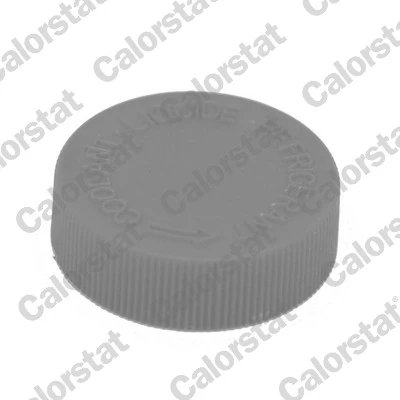 Buson vas expansiune Calorstat by Vernet RC0184