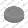 Buson vas expansiune Calorstat by Vernet RC0185