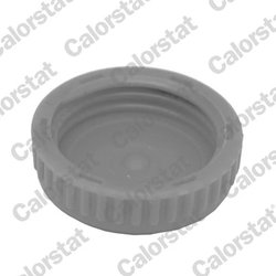 Buson vas expansiune Calorstat by Vernet RC0185