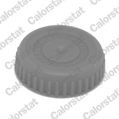 BUSON VAS EXPANSIUNE CALORSTAT BY VERNET RC0188 - Compatibil cu NISSAN