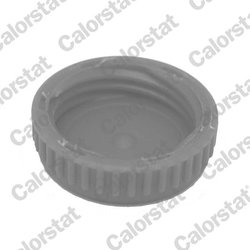 BUSON VAS EXPANSIUNE CALORSTAT BY VERNET RC0188 - Compatibil cu NISSAN