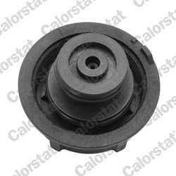 BUSON VAS EXPANSIUNE CALORSTAT BY VERNET RC0191 - Compatibil cu MAZDA