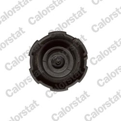 Buson vas expansiune Calorstat by Vernet RC0200