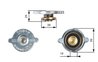 BUSON RADIATOR GATES RC125 - Compatibil cu CITROEN, DODGE, MERCEDES-BENZ, ROVER