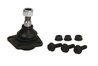 PIVOT REINHOCH RH03-1004 - Compatibil cu FIAT
