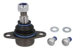 Pivot REINHOCH RH03-3001