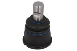 Pivot REINHOCH RH03-3003