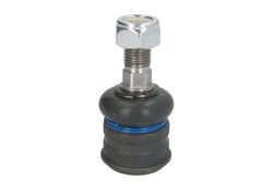 Pivot REINHOCH RH03-3024
