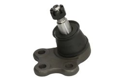 Pivot REINHOCH RH03-5017