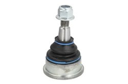 Pivot REINHOCH RH03-6003