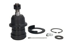 Pivot REINHOCH RH03-6008