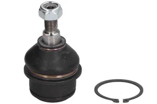 Pivot REINHOCH RH03-6009