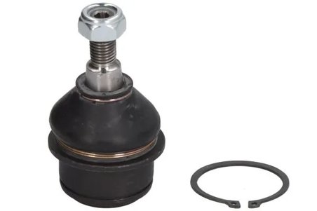 Pivot REINHOCH RH03-6009