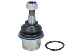 Pivot REINHOCH RH03-6012