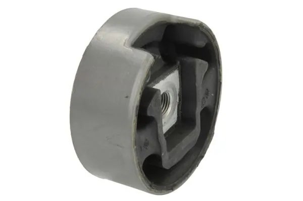 Suport motor REINHOCH RH11-0039