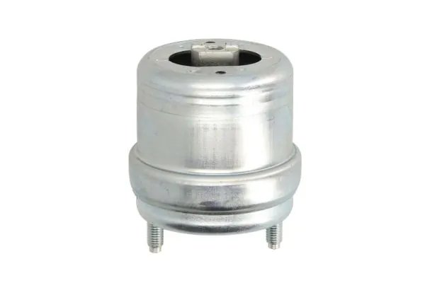 SUPORT MOTOR REINHOCH RH11-0054 - Compatibil cu VW