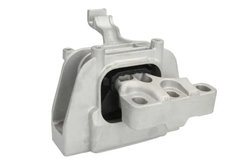 Suport motor REINHOCH RH11-0091