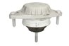 Suport motor REINHOCH RH11-0116