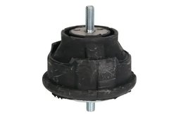 Suport motor REINHOCH RH11-3007