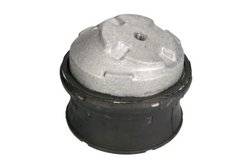 Suport motor REINHOCH RH11-3052