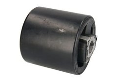 Bucsa suspensie REINHOCH RH14-3003