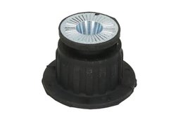 SUPORT MOTOR REINHOCH RH19-0000 - Compatibil cu AUDI, VW