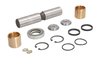Set reparatie pivot REINHOCH RH21-0000