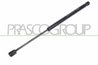 Amortizor portbagaj Prasco RN4209055