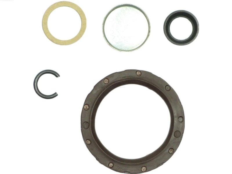 Kit reparatie electromotor AS-PL SDK0001