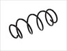 ARC SUSPENSIE MAGNUM TECHNOLOGY SF057MT - Compatibil cu FIAT