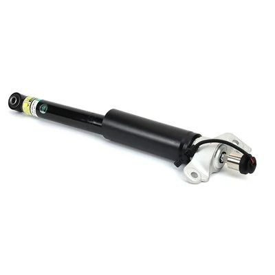 Amortizor Arnott SK-3433