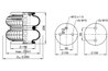 BURDUF SUSPENSIE PNEUMATICA PHOENIX SP 2 B 12 R-5 - Piesa auto compatibila cu mai multe marci