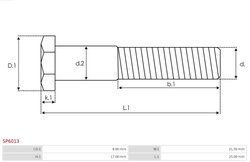 KIT REPARATIE ELECTROMOTOR AS-PL SP6013 - Piesa auto compatibila cu mai multe marci