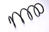 ARC SUSPENSIE MAGNUM TECHNOLOGY SR071MT - Compatibil cu RENAULT