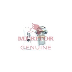 Set reparatie arbore came frana Meritor ST1135