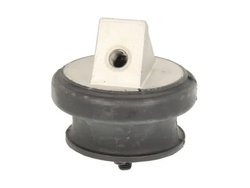 SUPORT MOTOR S-TR STR-1202164 - Compatibil cu MAN