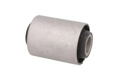 Bucsa arc foi S-TR STR-120426